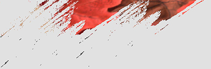 Image Portion
